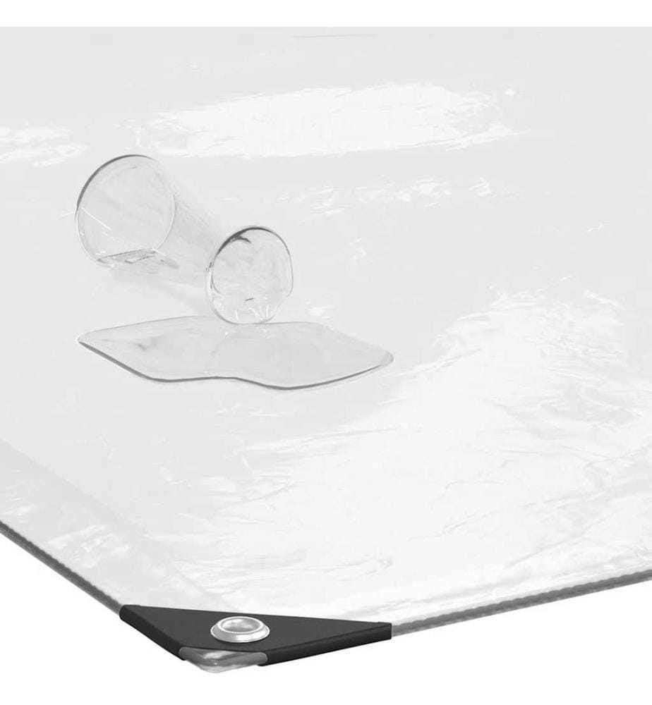 Bâche transparente avec oeillets 2x8 m polyéthylène