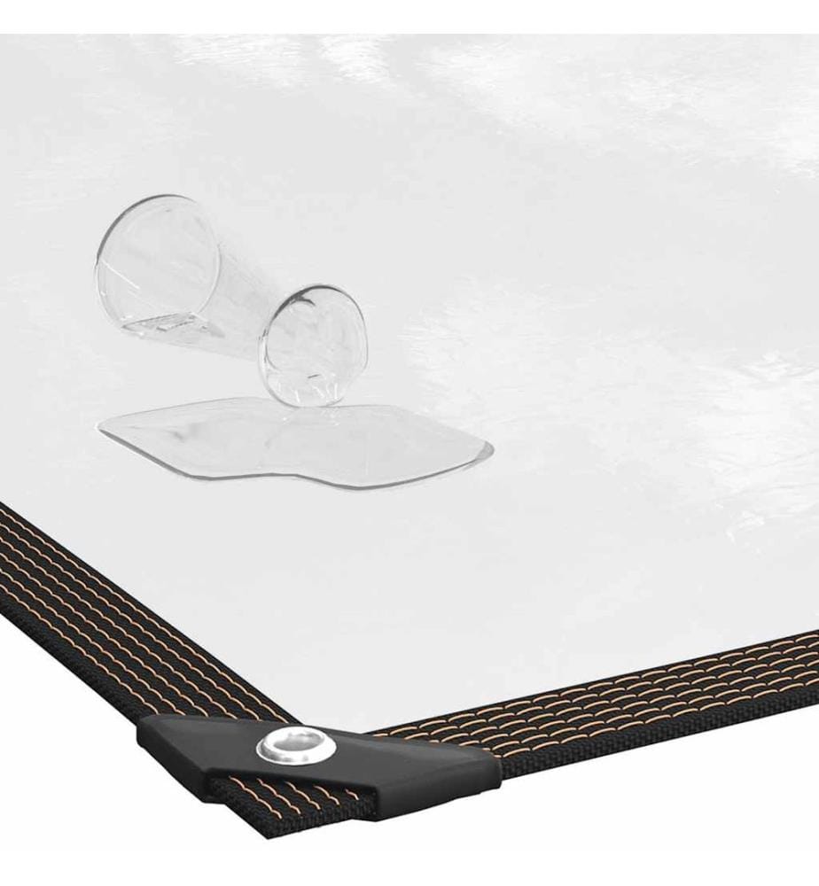 Bâche transparente avec oeillets 5x8 m polyéthylène