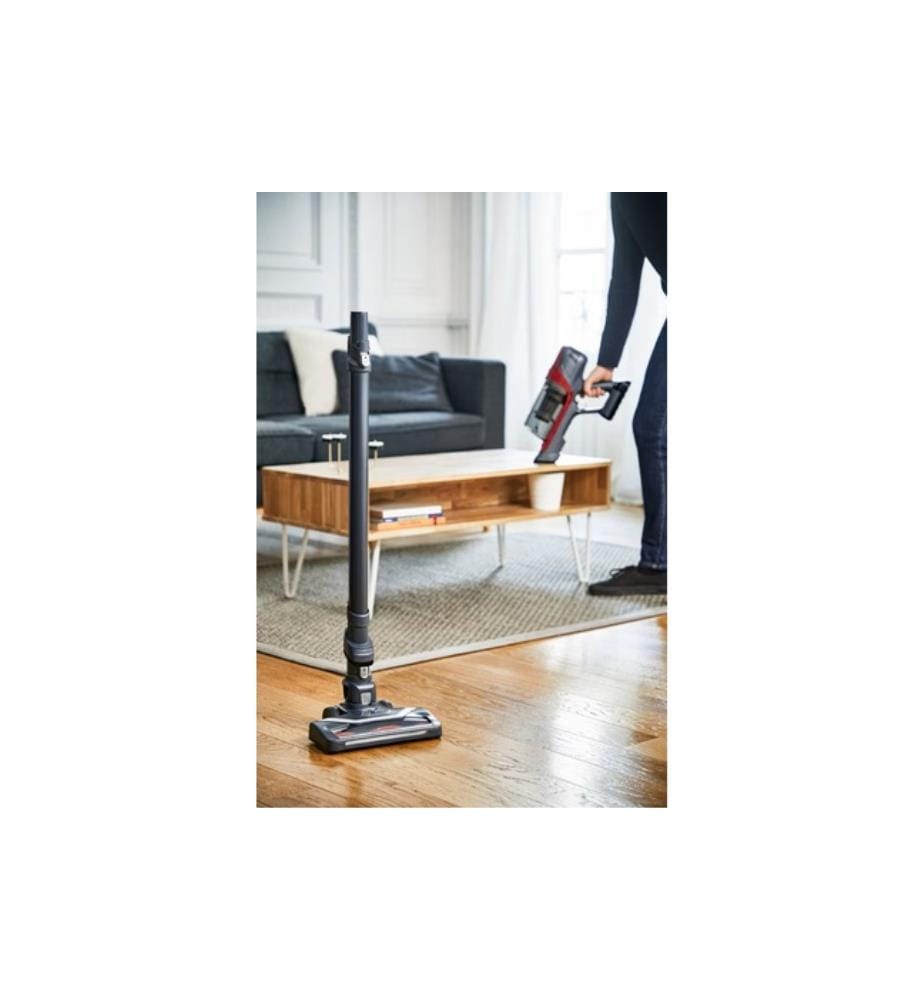 Aspirateur Sans Fil X-Pert 6.60 Animal - Rouge