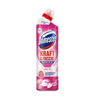 3X Active Fresh Gel da toilette fresco e floreale 750 ml