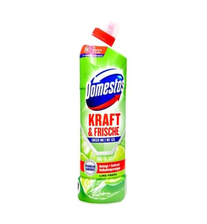 3X Active Fresh Lime Fresh Gel per la toilette 750 ml