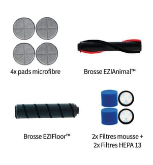 Filtre EZICLEAN - Modèle : PACKACC.R8WASH