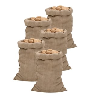Sacs en jute 5 pcs 60x105 cm 100 % jute 340 g/m²