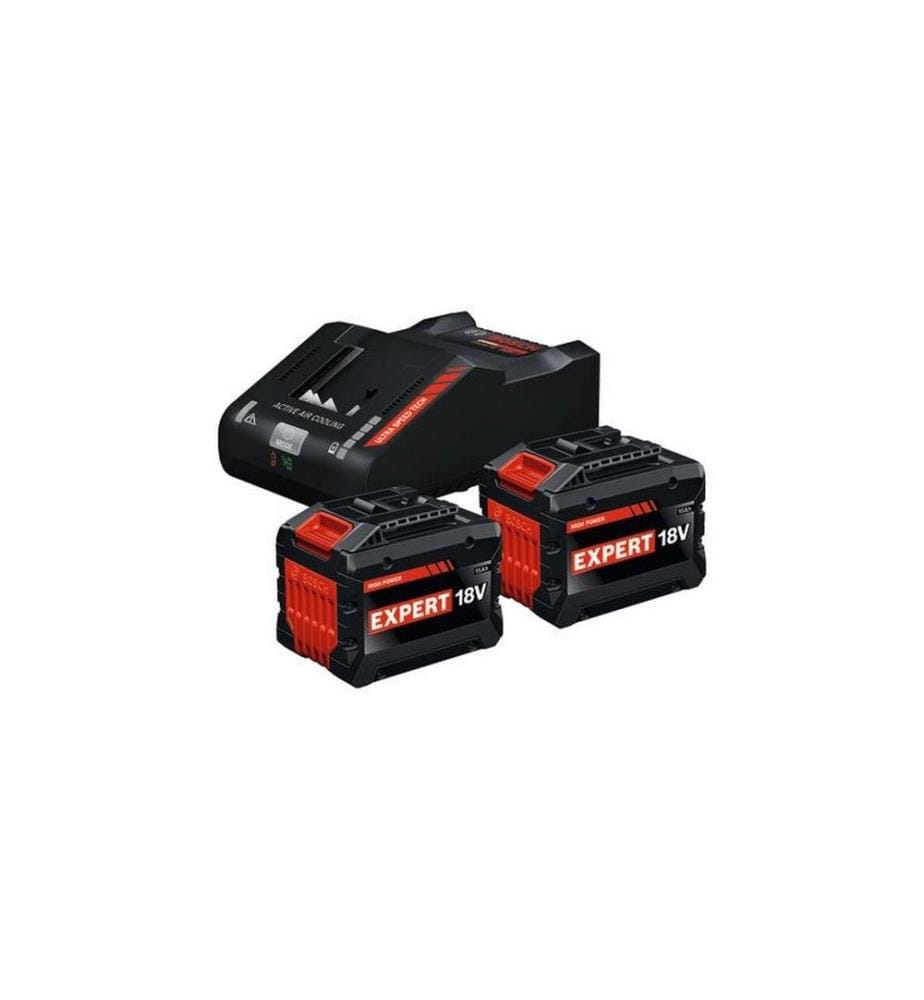 BOSCH - Professional Kit de démarrage pour batterie 2x EXP 18 V 15.0 Ah + GAL12 V/18 V-80