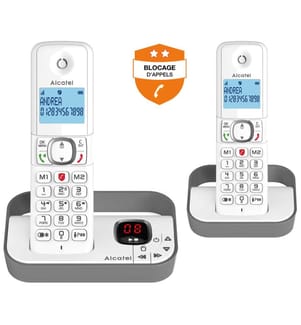 ALCATEL senza fili - Modello : F860VOICEDUOGREY