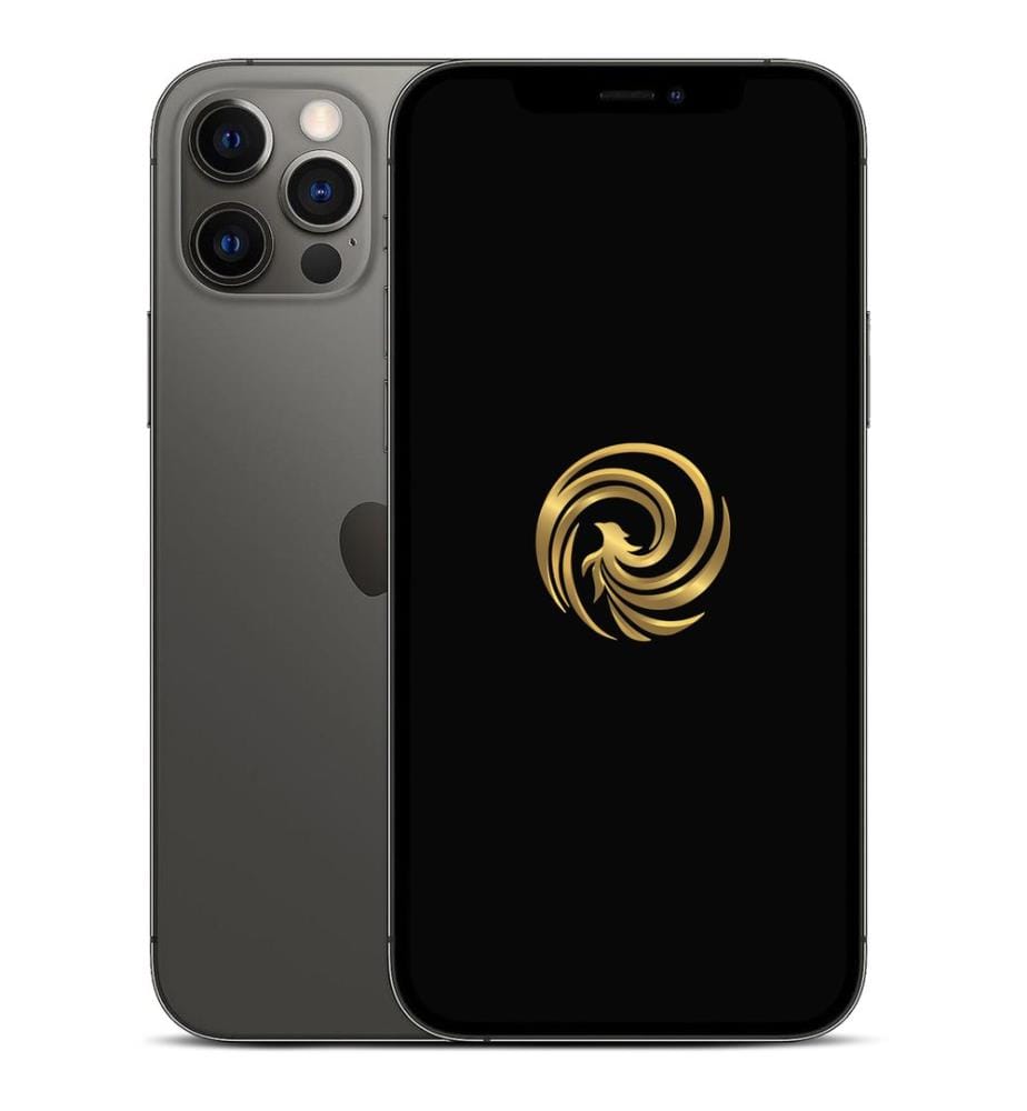 Refurbished smartphone REBORN - Model : IP12PRO128GS