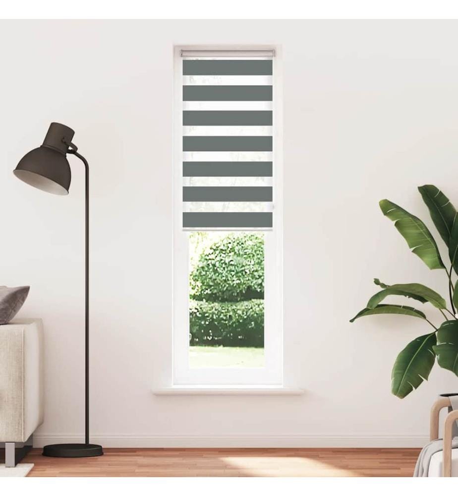 Doppelrollo Dunkelgrau 55x200 cm Stoffbreite 50,9 cm Polyester