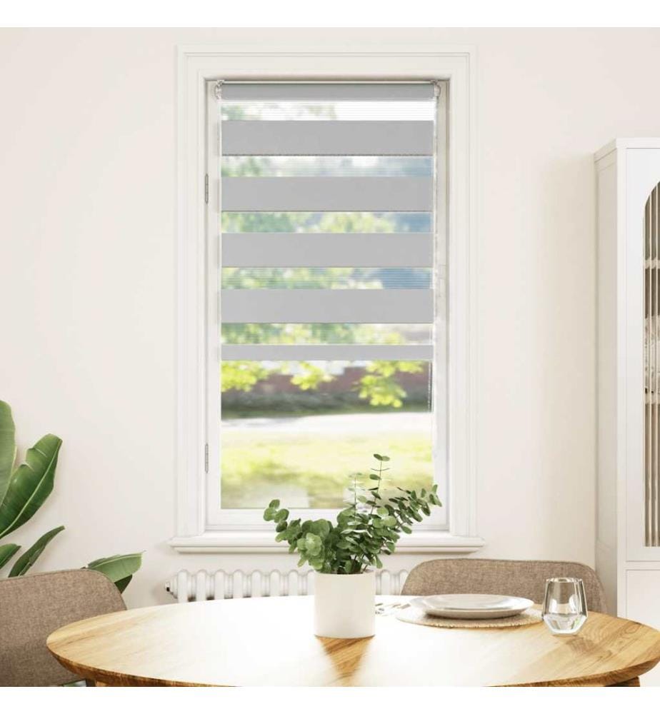Doppelrollo Hellgrau 60x150 cm Stoffbreite 55,9 cm Polyester