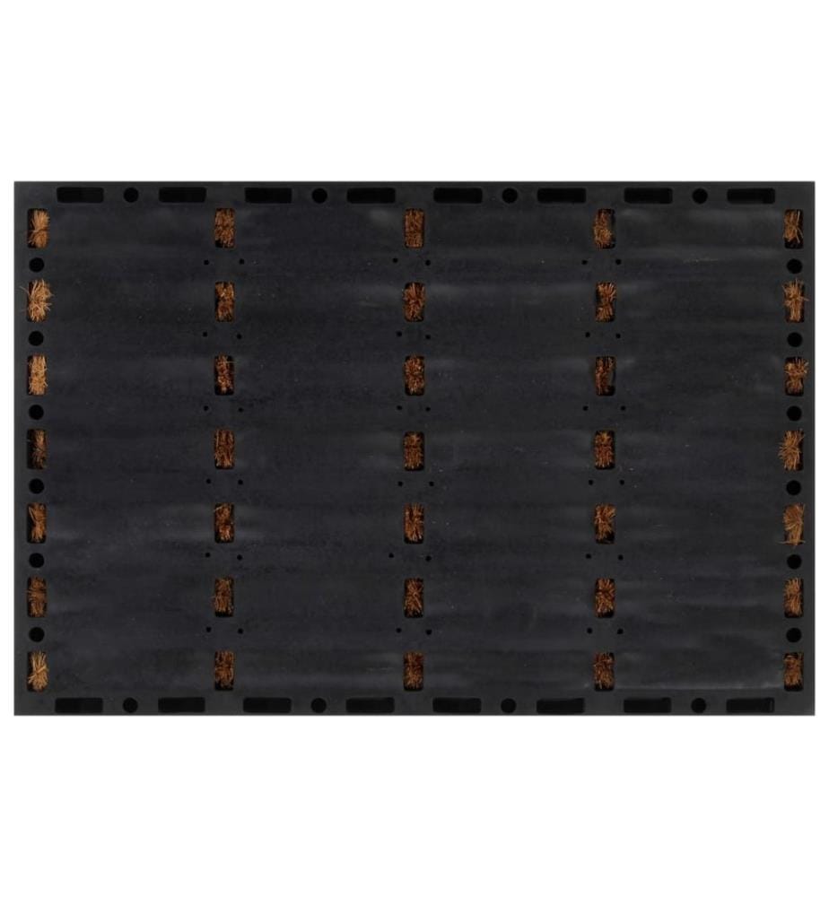 Fussmatte Rechteckig 40x60 cm Gummi und Kokosfaser