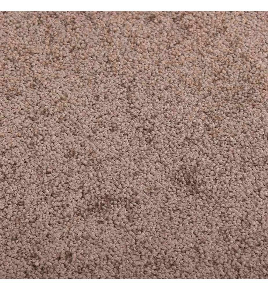 Paillasson Marron 40x60 cm