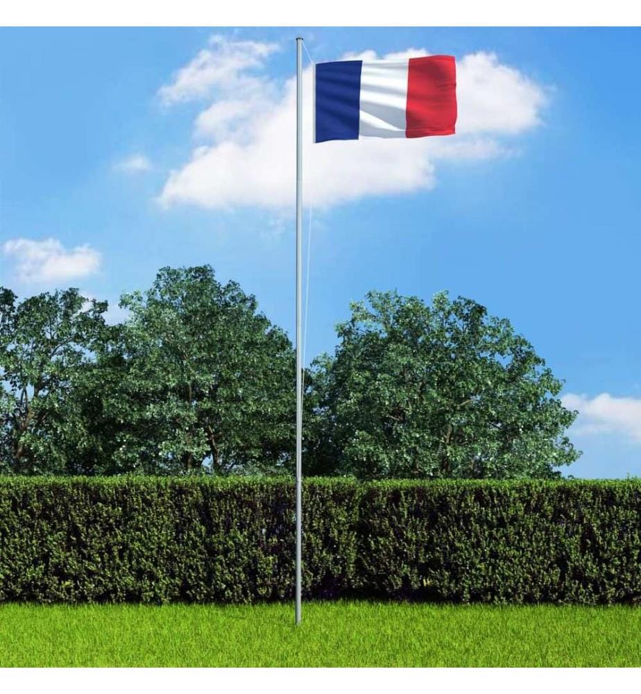 Drapeau français 90x150 cm