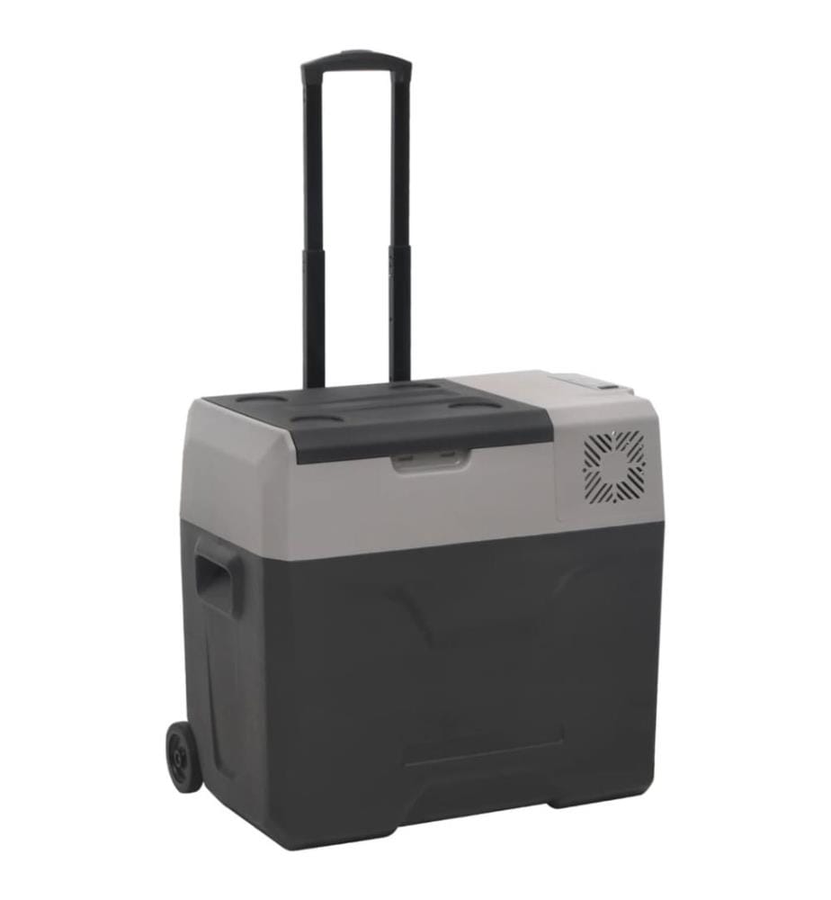 Kühlbox mit Rollen und Griff Schwarz & Grau 30 L Polypropylen