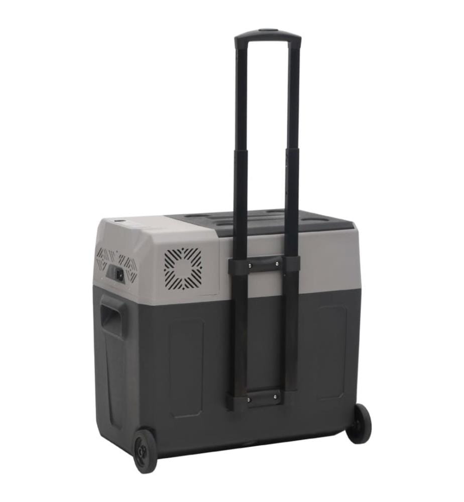 Kühlbox mit Rollen und Griff Schwarz & Grau 50 L Polypropylen