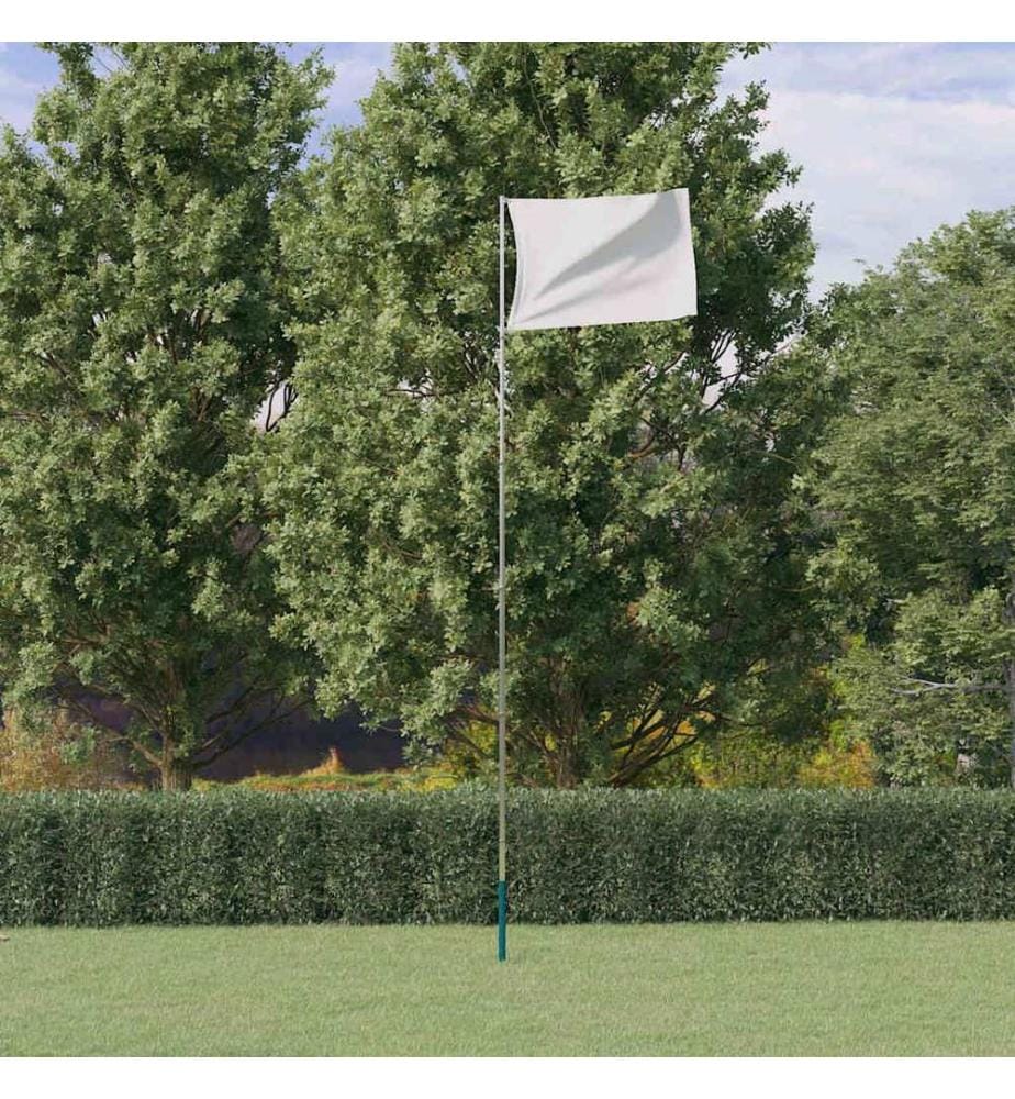 Mât de drapeau télescopique Argenté 5,5 m Aluminium