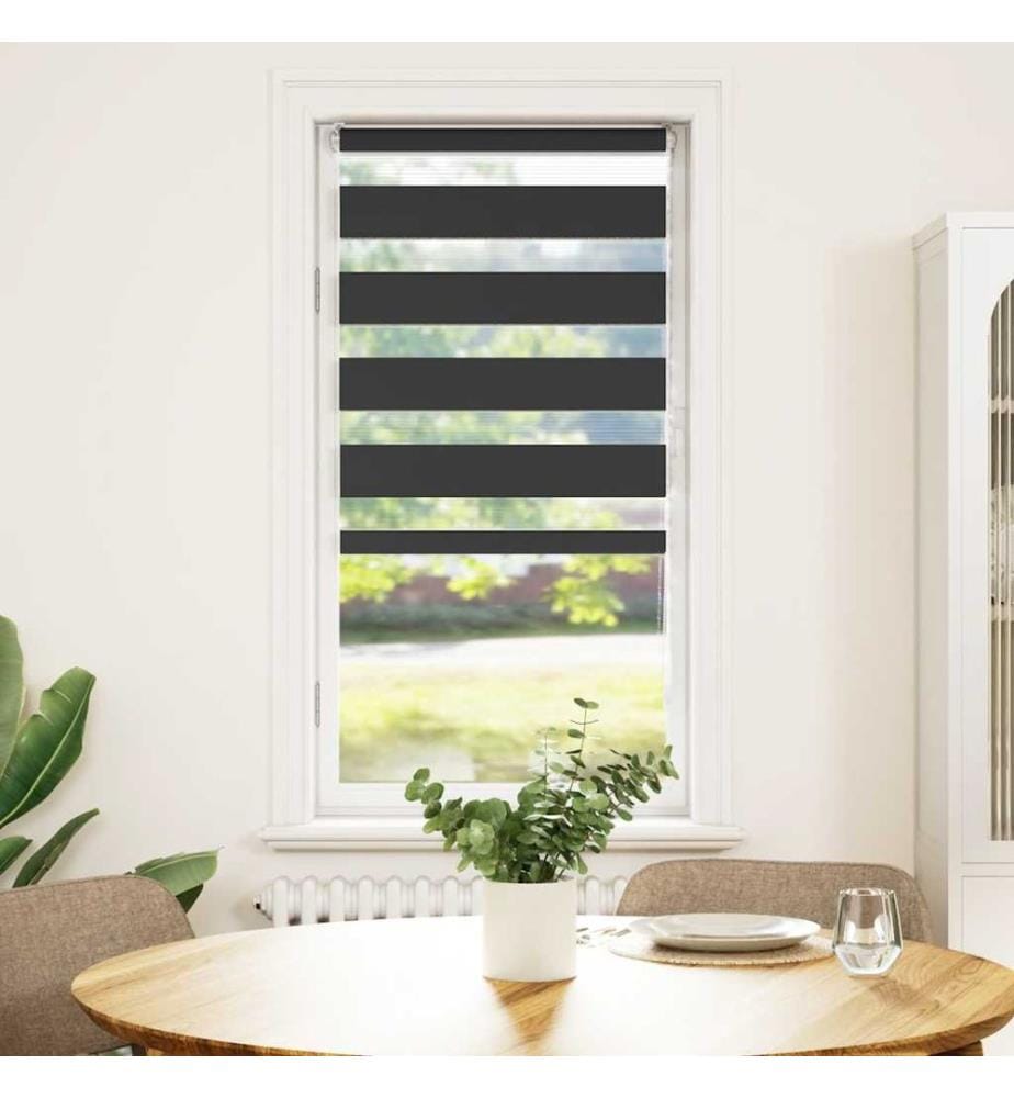 Doppelrollo Schwarz 55x150 cm Stoffbreite 50,9 cm Polyester