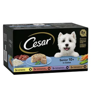 3x Senior Multipack Trays, 8 x 150 g - 1,200 g