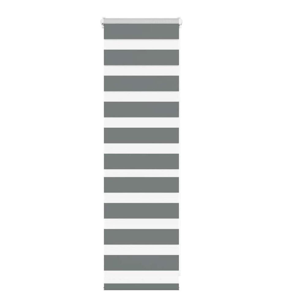 Doppelrollo Dunkelgrau 50x100 cm Stoffbreite 45,9 cm Polyester
