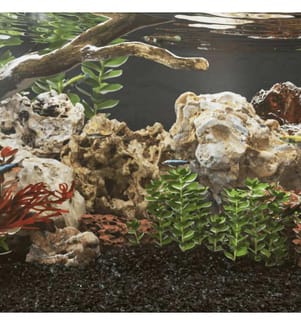 Drachensteine 10 kg Mehrfarbig 10-30 cm