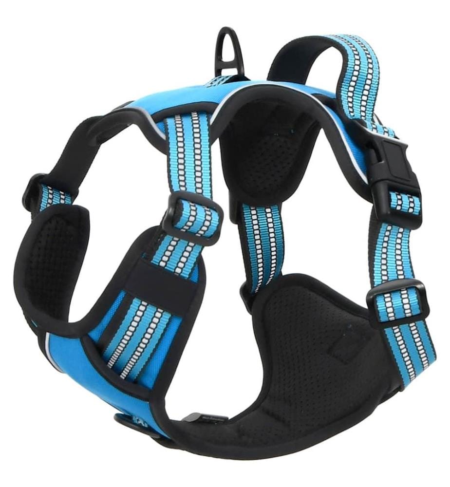 Harnais pour chien et bandes réfléchissantes réglables bleu XL