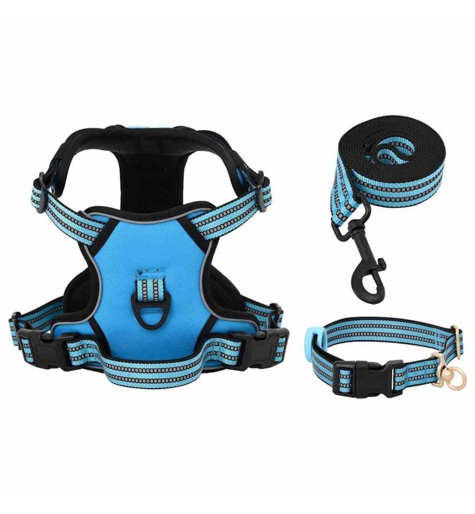 Harnais pour chien avec laisse et collier réglables bleu XL