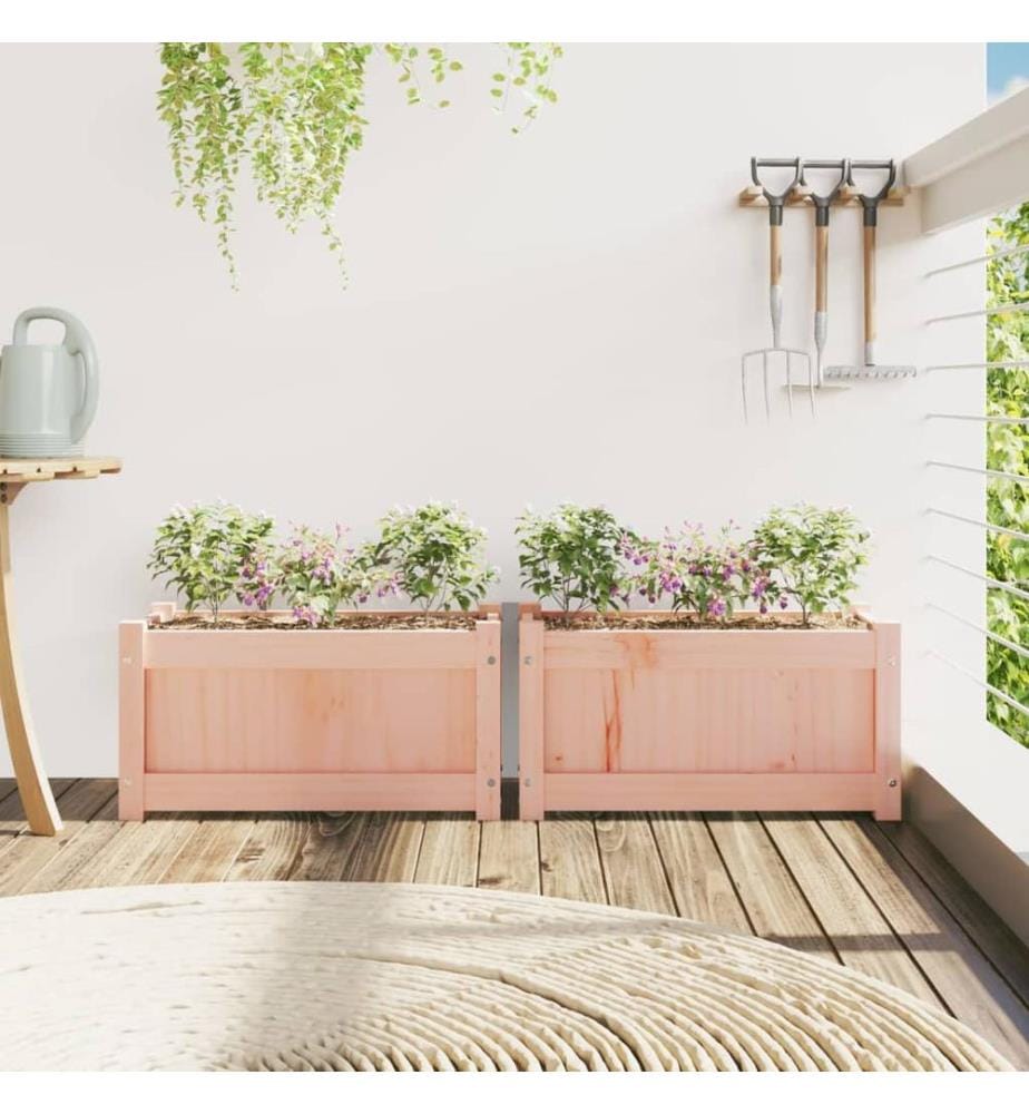 Jardinières 2 pcs bois massif douglas