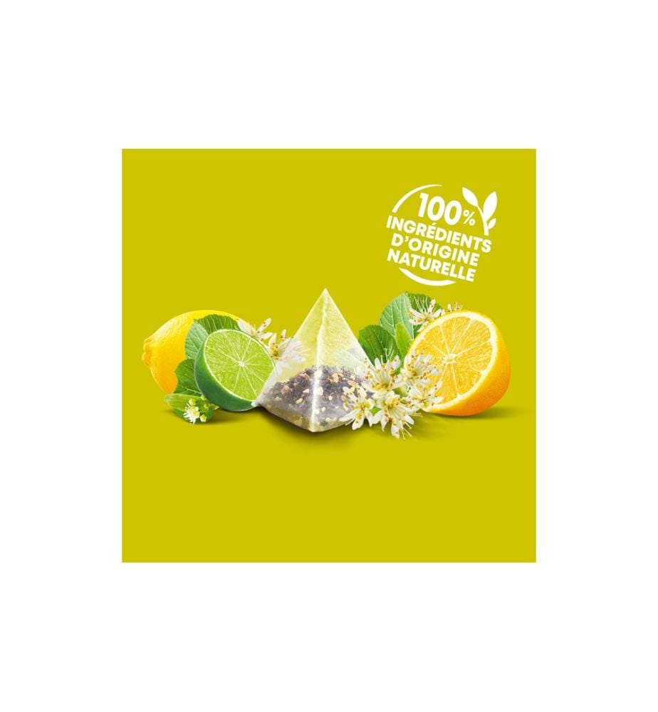 Eléphant - Sachet de thé Infusion Tilleul Citron 20 pièces