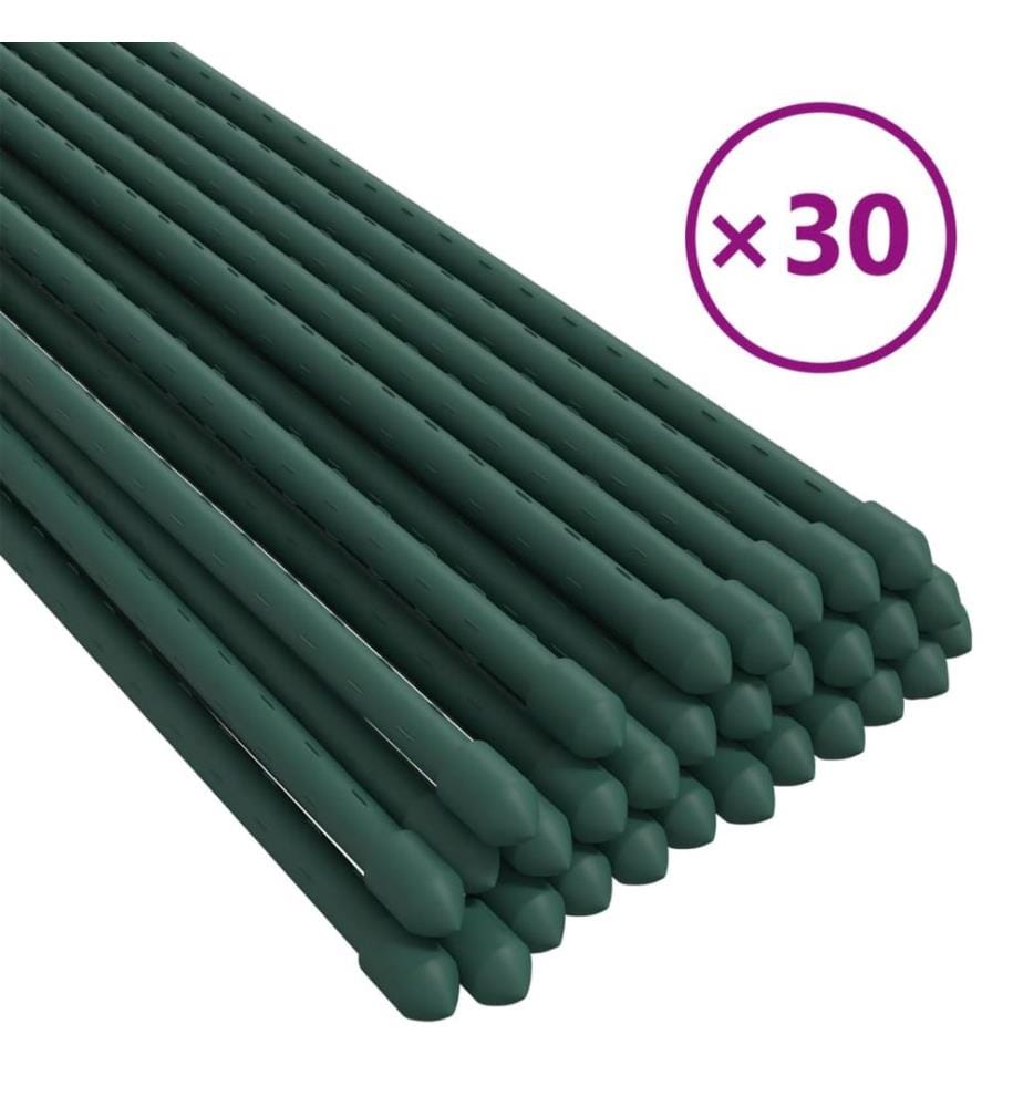 Pflanzenstützen 30 Stk. Grün 180 cm Stahl
