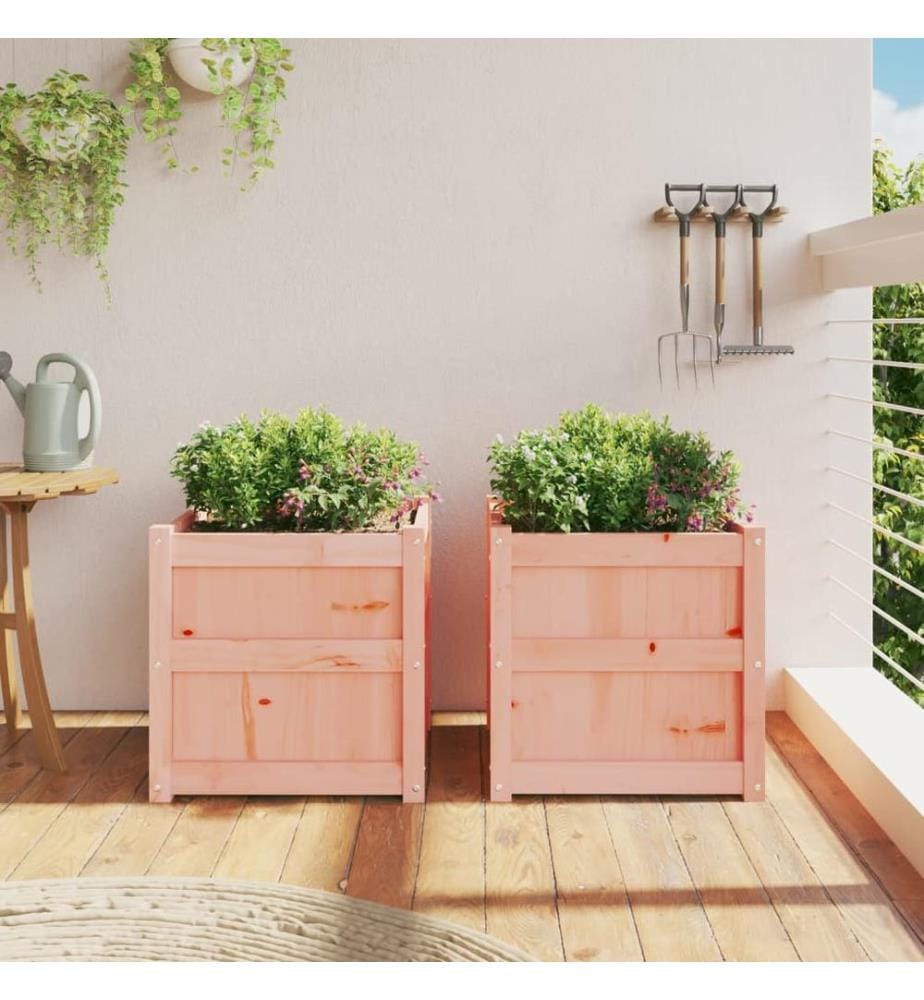 Jardinières 2 pcs bois massif douglas
