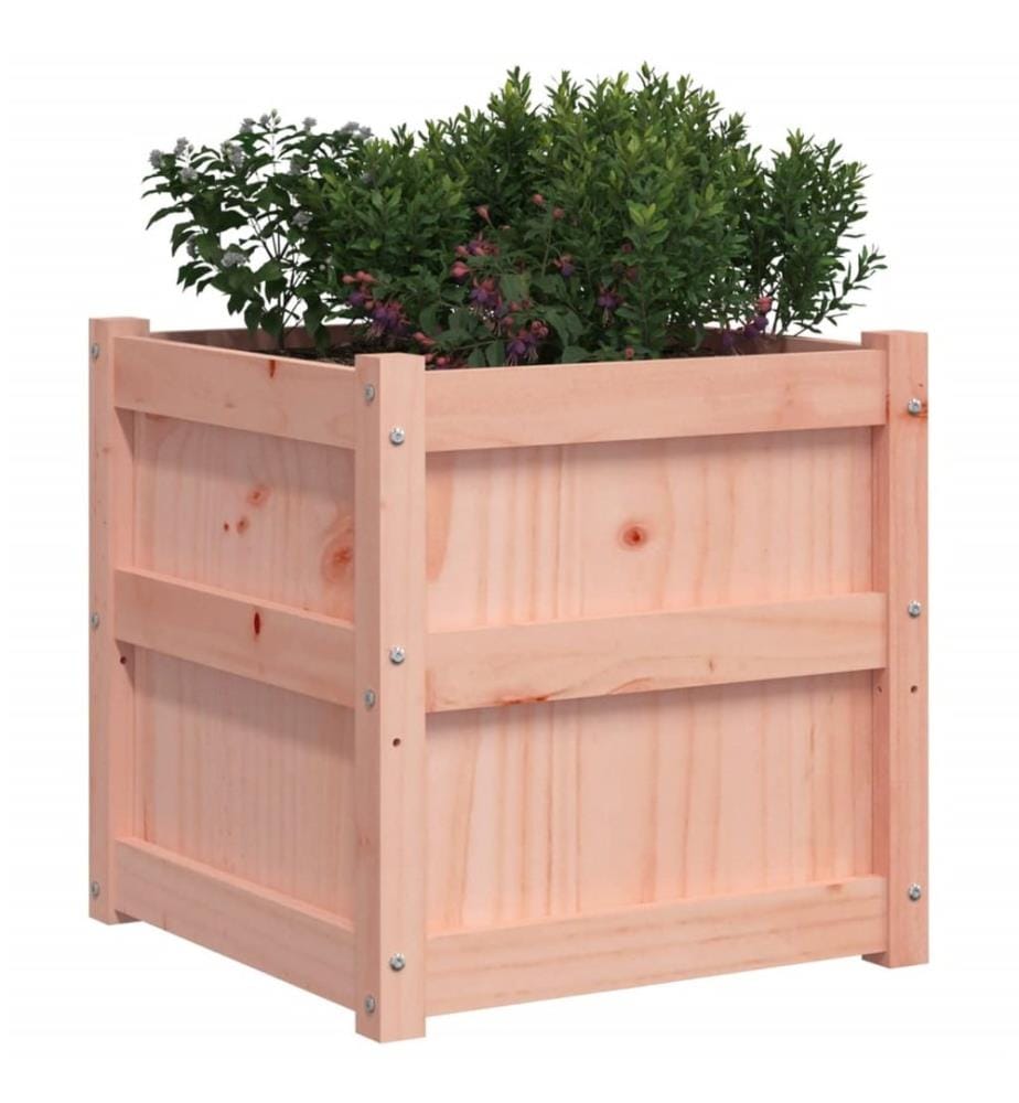 Jardinières 2 pcs bois massif douglas