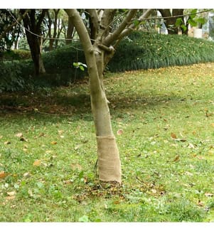 Jutegewebe 0,25x50 m 100% Jute 200 g/m²