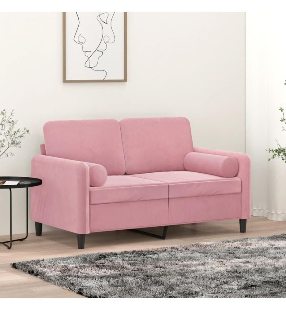 Coussins décoratifs 2 pcs Rose Ø15x50 cm Velours