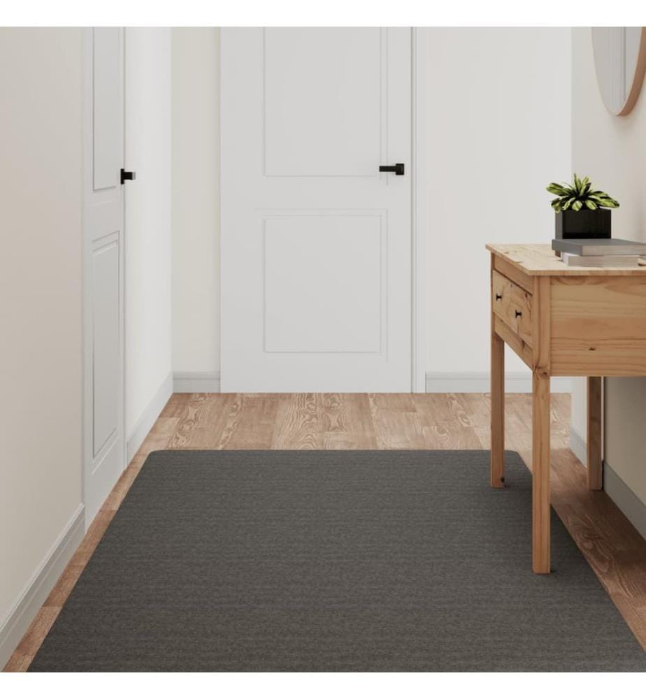 Tapis de couloir anthracite 100x180 cm