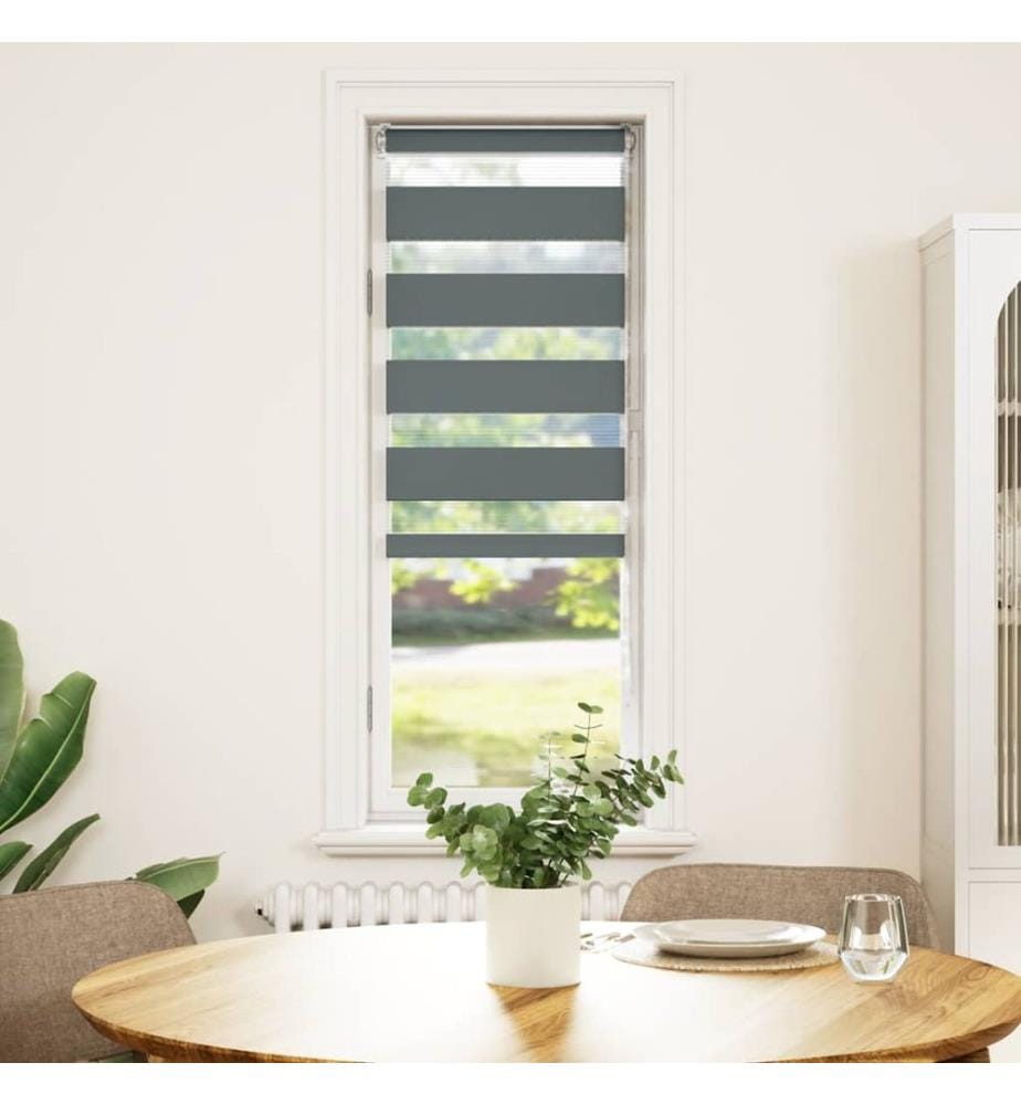 Doppelrollo Dunkelgrau 50x150 cm Stoffbreite 45,9 cm Polyester