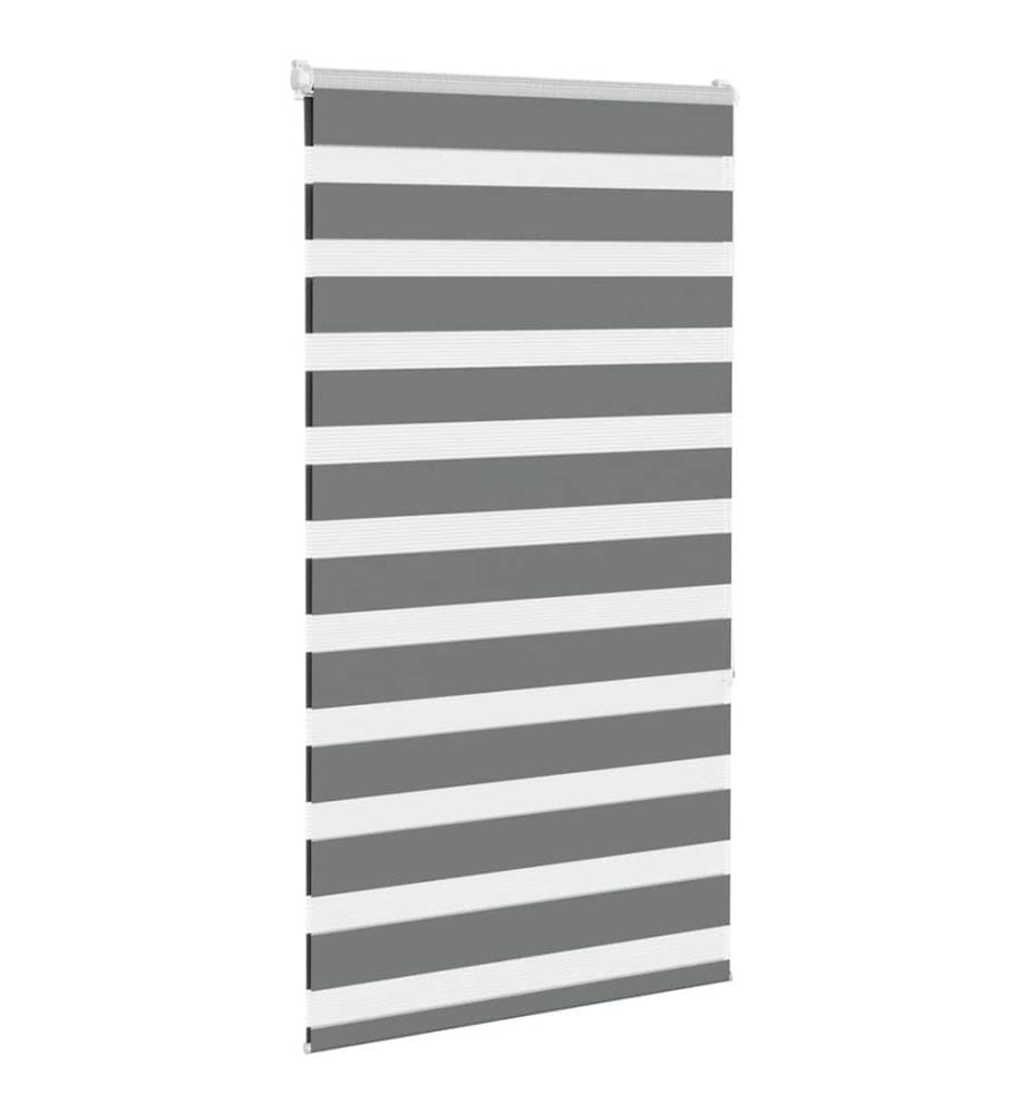 Doppelrollo Dunkelgrau 75x150 cm Stoffbreite 70,9 cm Polyester