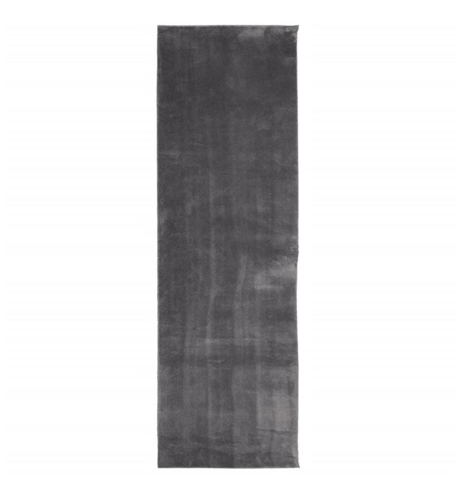 Tapis à poils courts doux et lavable anthracite 80x250 cm