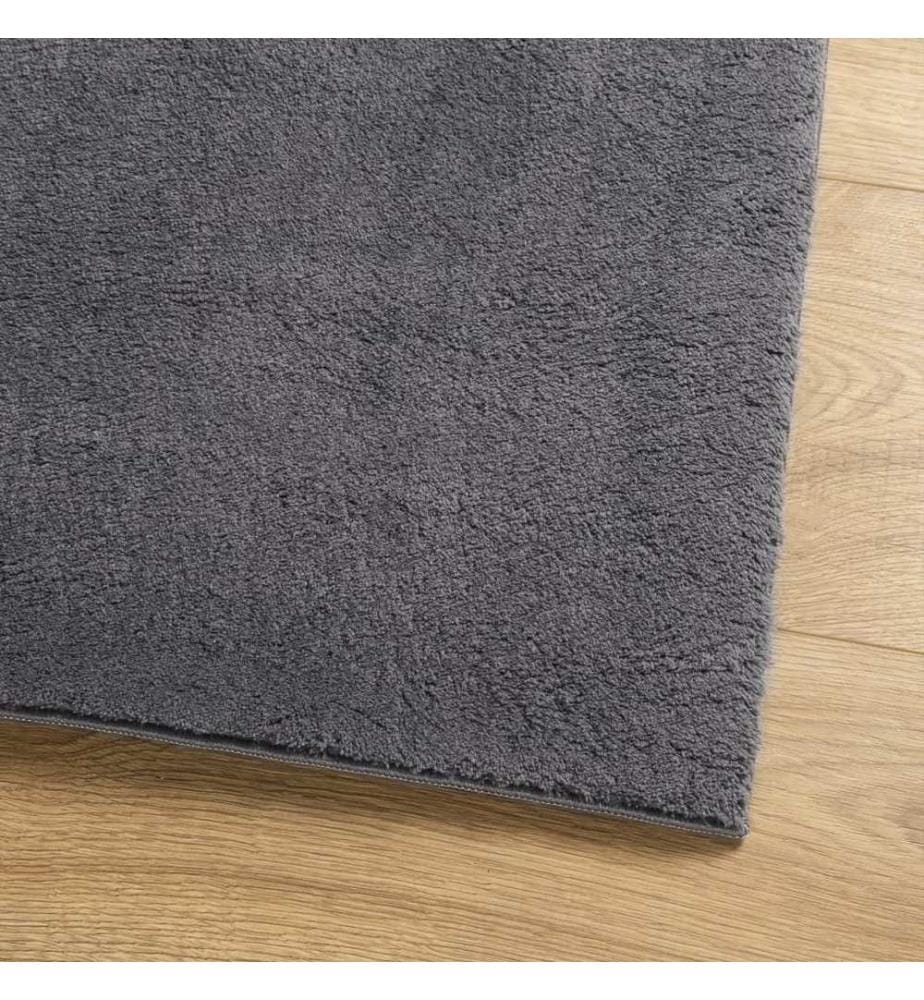 Tapis à poils courts doux et lavable anthracite 80x250 cm