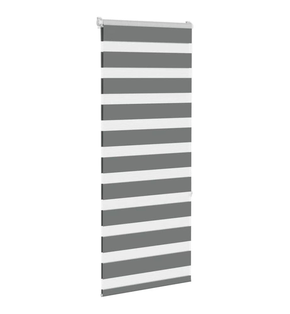 Doppelrollo Dunkelgrau 55x150 cm Stoffbreite 50,9 cm Polyester