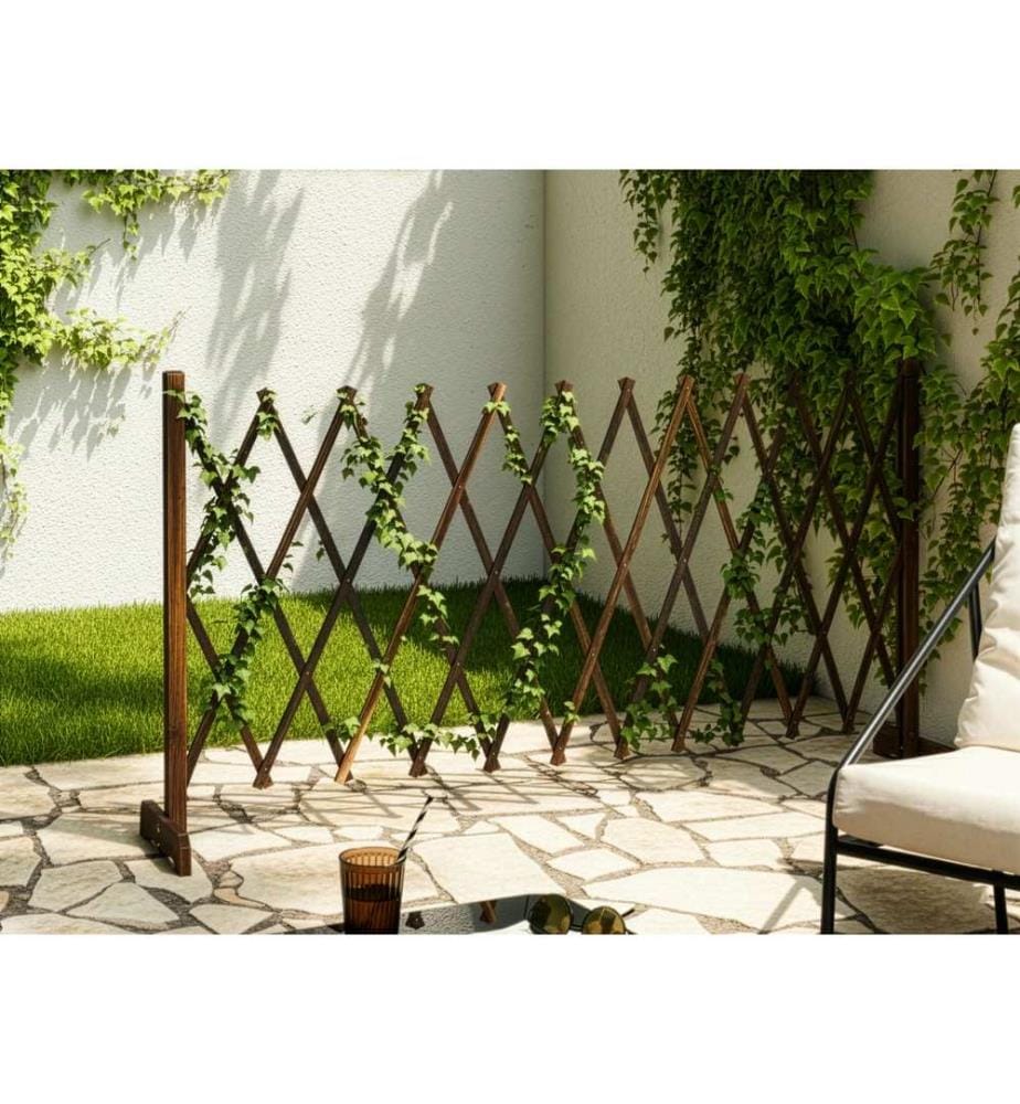 Treillis de jardin SCIOLZE Extensible Marron foncé
