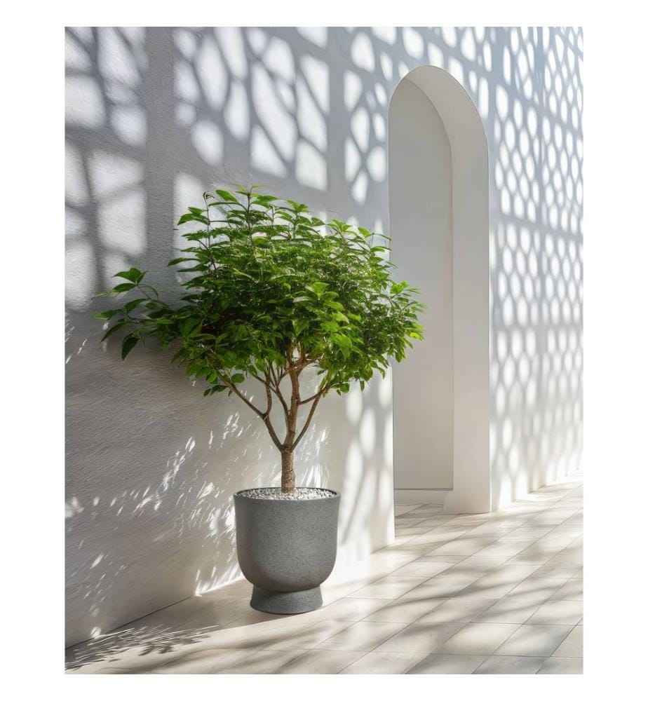 Vaso per piante GINKGO 36 cm Grigio effetto cemento