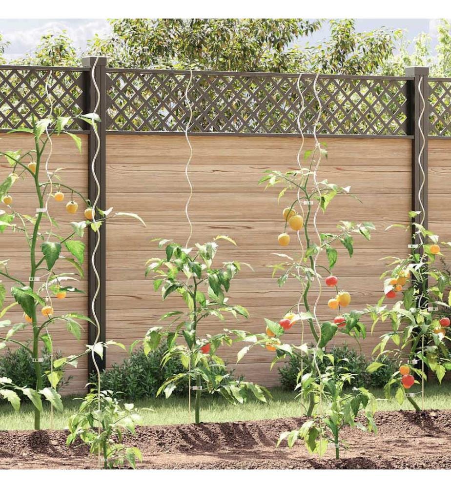 Supports de plantes en spirale 20 pcs Acier galvanisé 170 cm