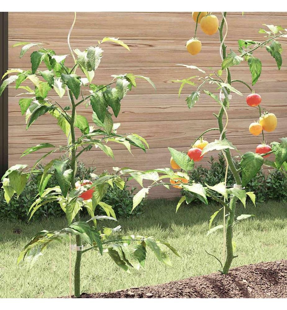 Supports de plantes en spirale 20 pcs Acier galvanisé 170 cm