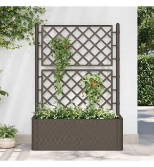 Lit surélevé de jardin et treillis et système d'arrosage Moka