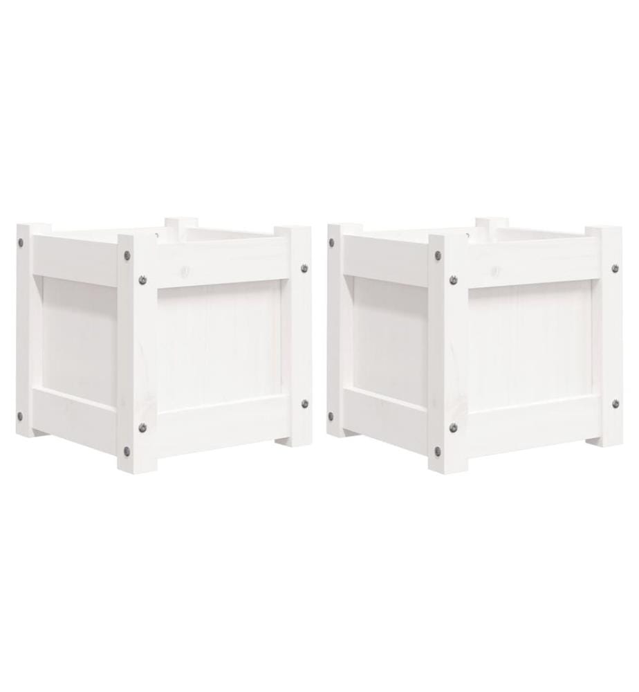 Jardinières 2 pcs blanc bois de pin massif