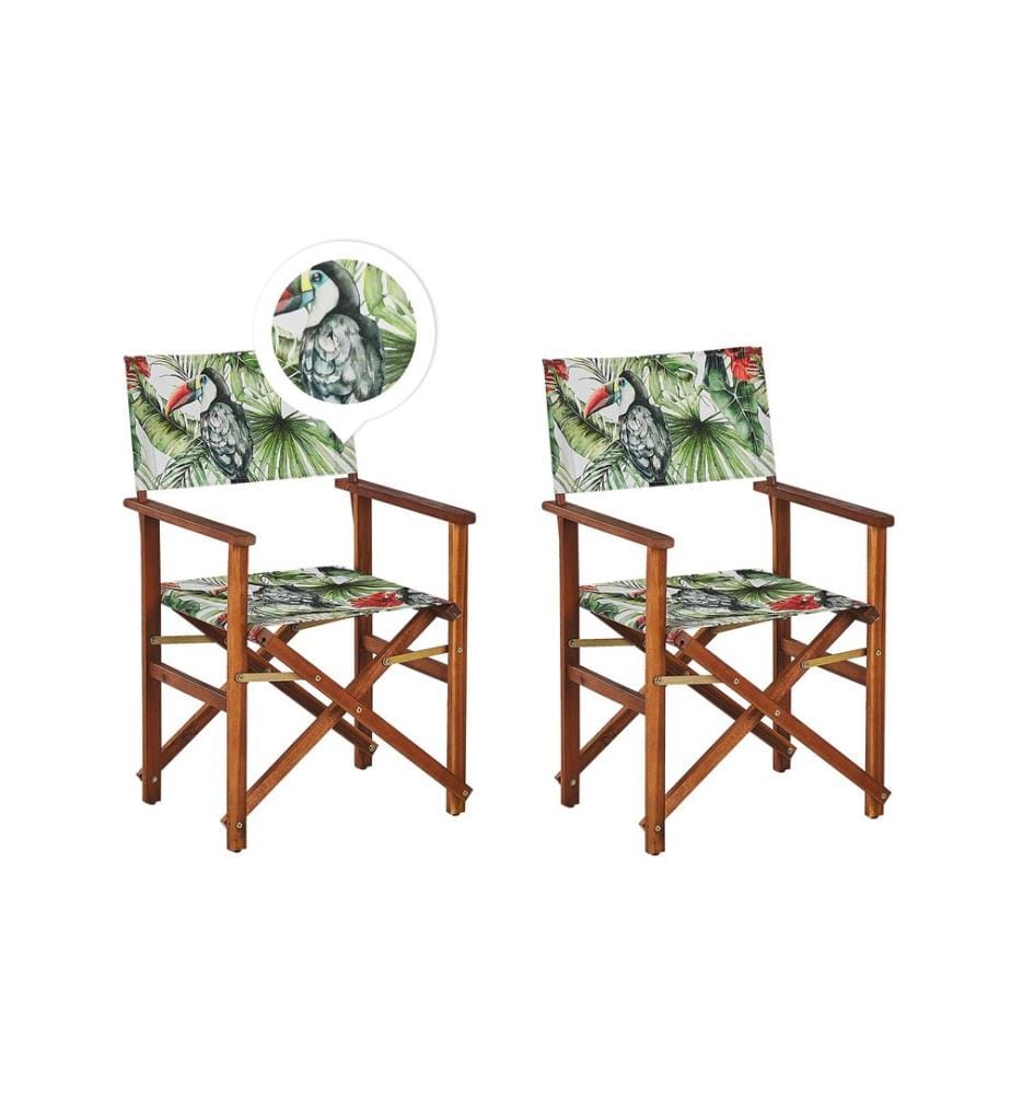 Lot de 2 chaises de jardin CINE Acacia Vert