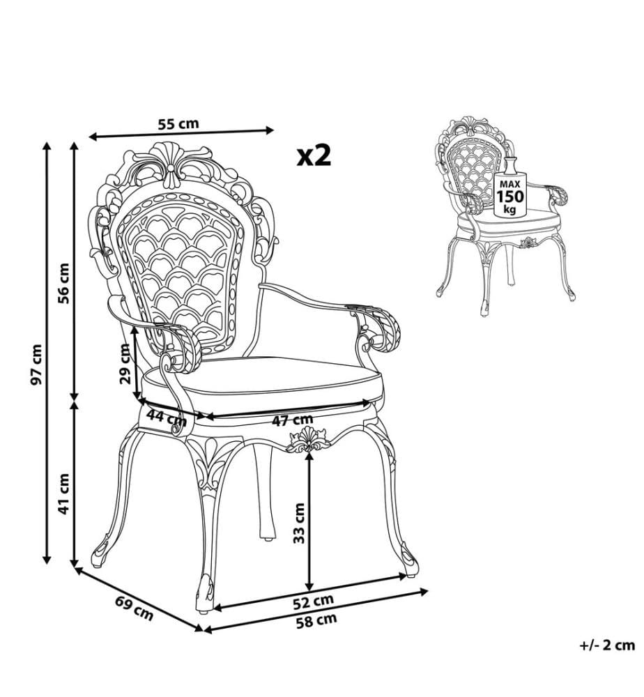 Lot de 2 chaises de jardin avec coussins LIZZANO Métal Marron foncé