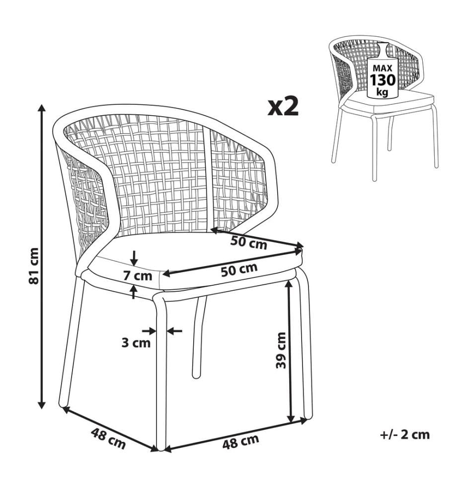 Lot de 2 chaises de jardin avec coussins PALMI Métal Gris