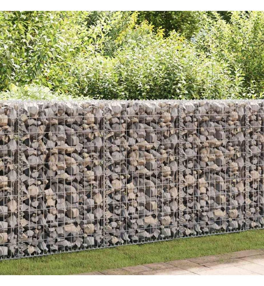 Panier de gabion Acier galvanisé 100x50x100 cm