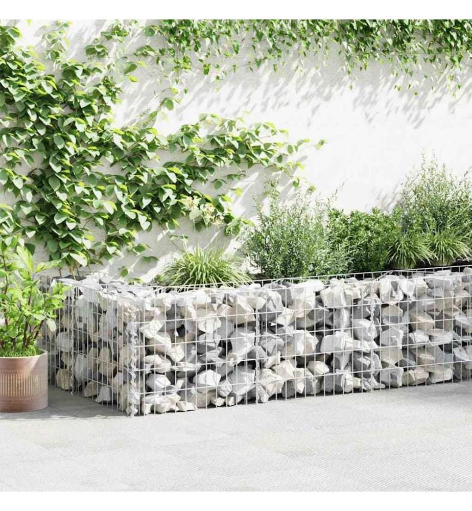 Mur de gabion Acier galvanisé 630x30x50 cm