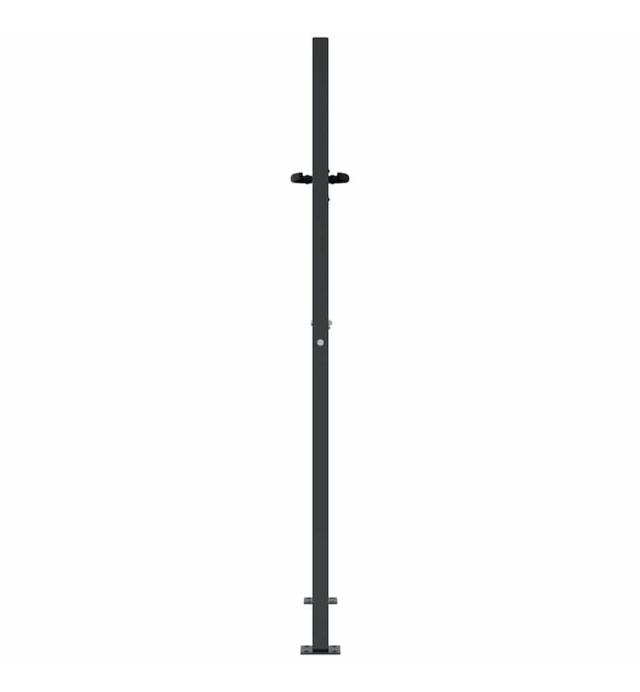 Gartentor Anthrazit 100x125 cm Stahl Gras-Design