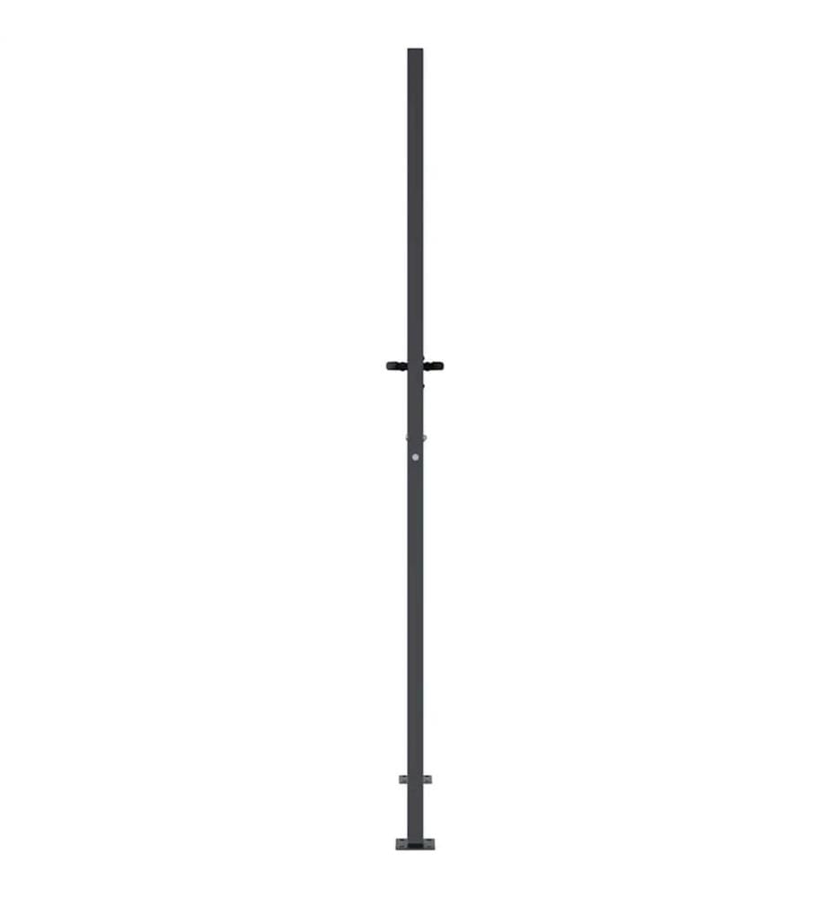 Gartentor Anthrazit 100x200 cm Stahl Gras-Design